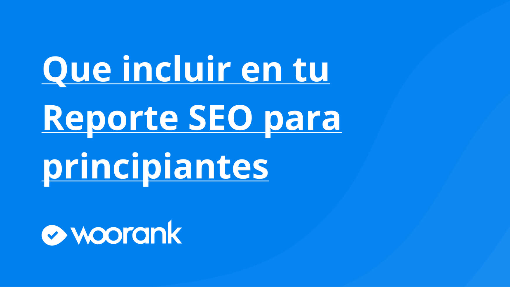 Que incluir en tu Reporte SEO para principiantes