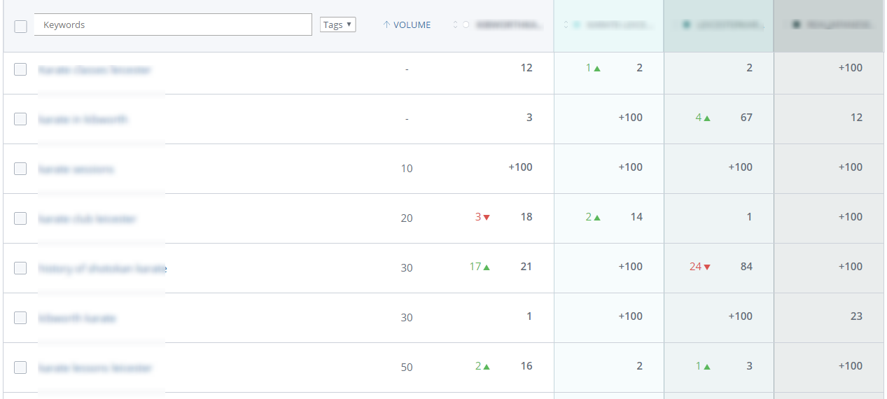 WooRank Keyword Tool weekly report