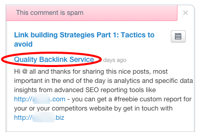 Example of comment spam