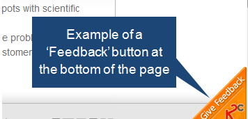 Sample Feedback Feature on Website