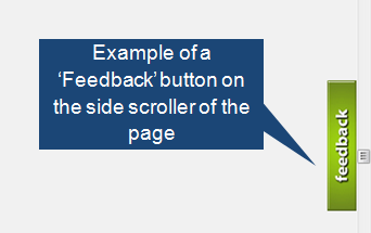 Sample Feedback Feature on Website
