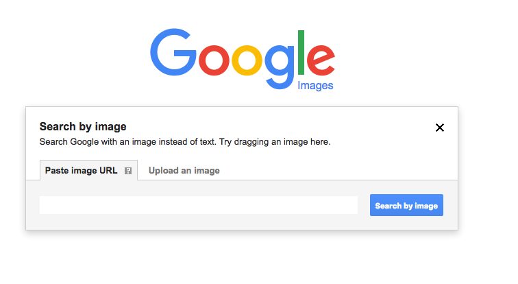 Google Image reverse image search